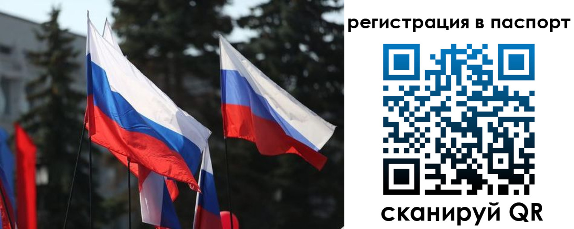прописка штамп в Новгородской области